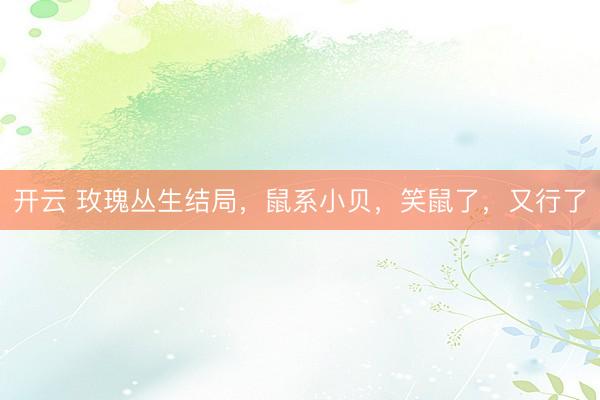 开云 玫瑰丛生结局，鼠系小贝，笑鼠了，又行了